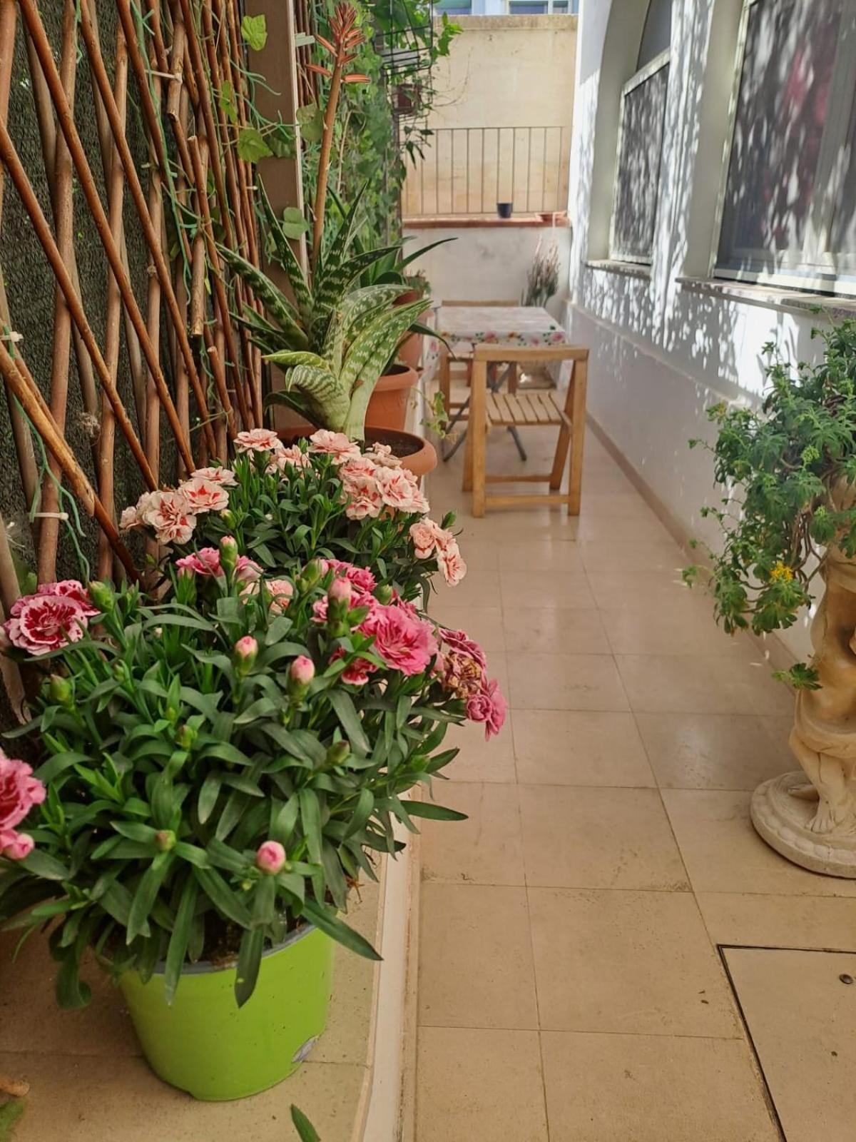 Esplora Sassi Bed & Breakfast มาเตรา ภายนอก รูปภาพ
